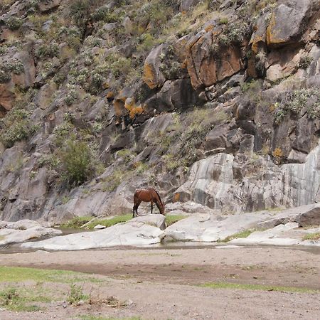 Altos Del Valle San Agustin de Valle Fertil Ngoại thất bức ảnh