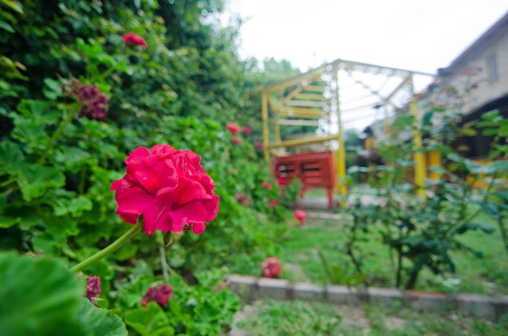 Altos Del Valle San Agustin de Valle Fertil Ngoại thất bức ảnh