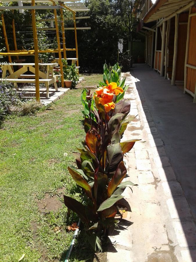 Altos Del Valle San Agustin de Valle Fertil Ngoại thất bức ảnh